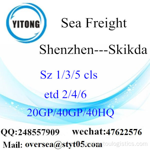 Shenzhen Port Sea Freight Shipping Para Skikda
